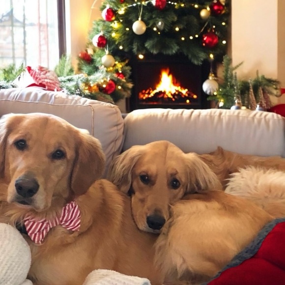 Smoke free/Pet friendly💛 - Picture 5 of 16